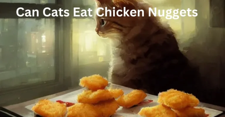 Can Cats Eat Chicken Nuggets? Actions to Take if Consumed