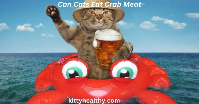 Can Cats Eat Crab Meat? Benefits, Limitations And Alternatives