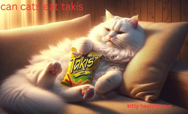 Can Cats Eat Takis? Risks And Safety