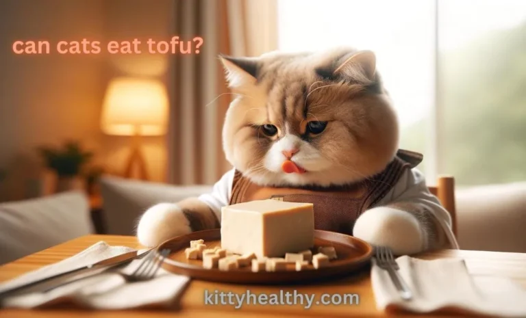 Can Cats Eat Tofu? Feeding Consideration & Nuritional Highlights