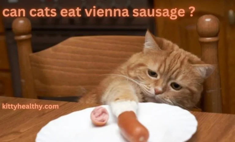 Can Cats Eat Vienna Sausage? Understanding Risks & Alternatives