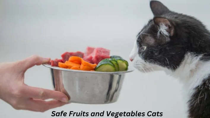 Cat with Safe Fruits and Vegetables 