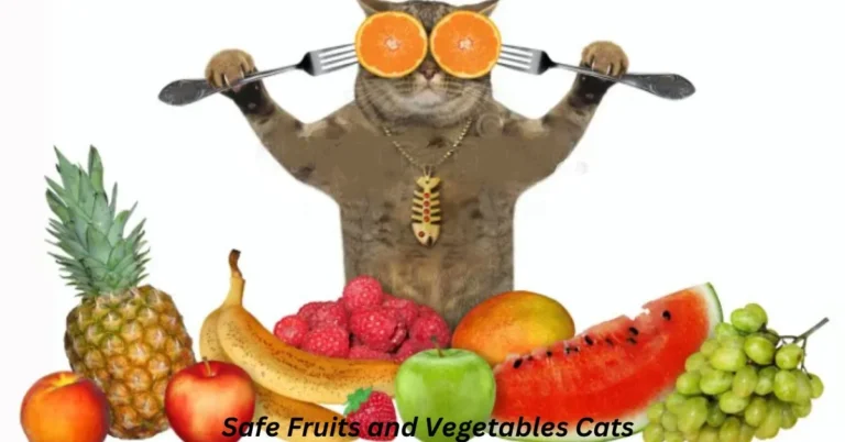 What Fruits and Vegetables Cats Can Safely Eat And Why?